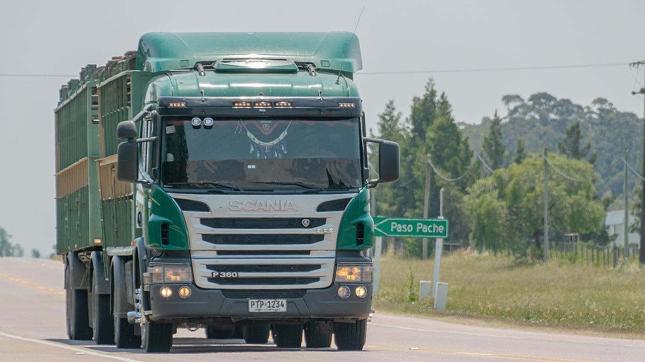 Best Trucking Schools in Chicago: Get Your CDL Fast